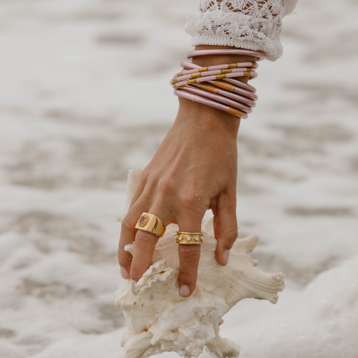 a hand holding a shell